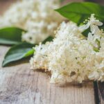 5 recettes gourmandes pour profiter des bienfaits de la fleur de sureau